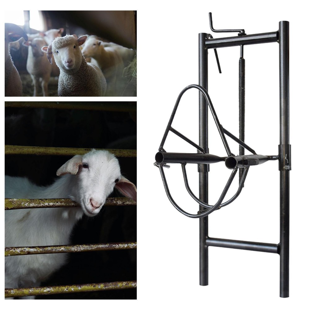 Sheep Head Fixing Bracket Easy Installation Sheep Halter Sheep Head Fixture