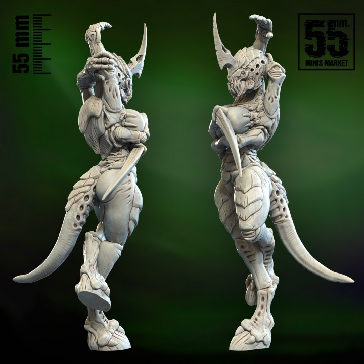 Shee 55mm Brand Model