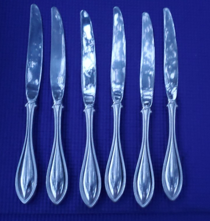6-Oneida ARBOR AMERICAN HARMONY DINNER KNIVES 9 1/2"