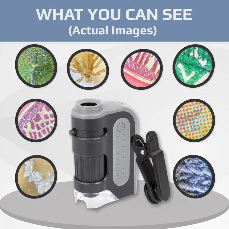 Carson MicroBrite Plus 60x-120x LED Lighted Pocket Microscope, Portable Handheld