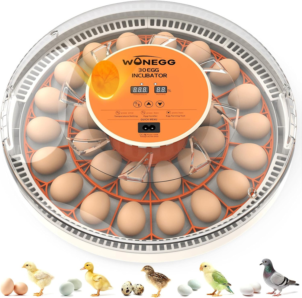 Incubator for Hatching Eggs, 30 Eggs Incubator with Automatic Egg Turning, Tempe