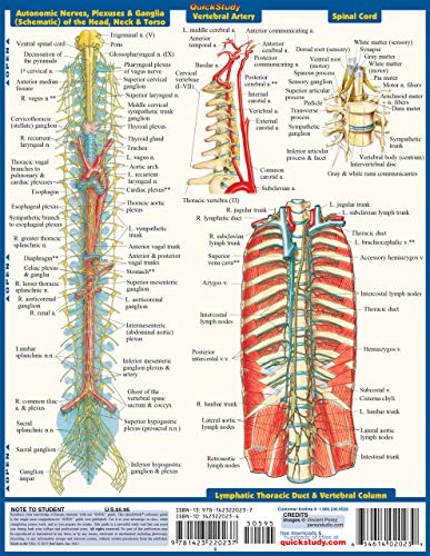 The Spine QuickStudy Laminated Reference Guide (Quick Study Academic)