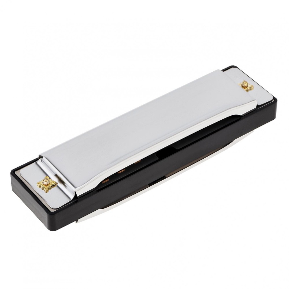 Harmonica Mouth Organ 10 Hole C Key with Case, Diatonic Harmonica Beginner Gift