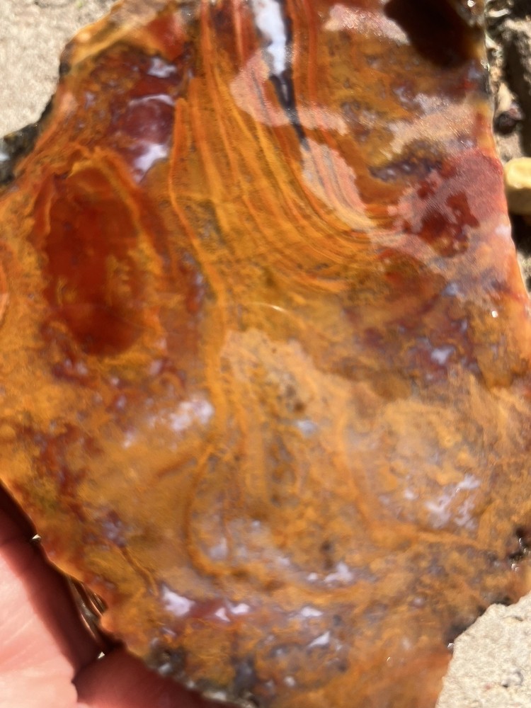 Rooster Tail Agate Slab