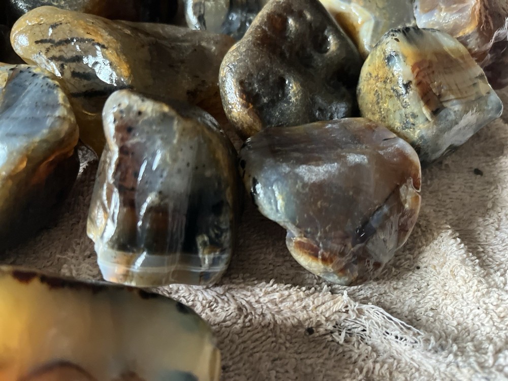 10 Lbs Rough Montana Agate (49)