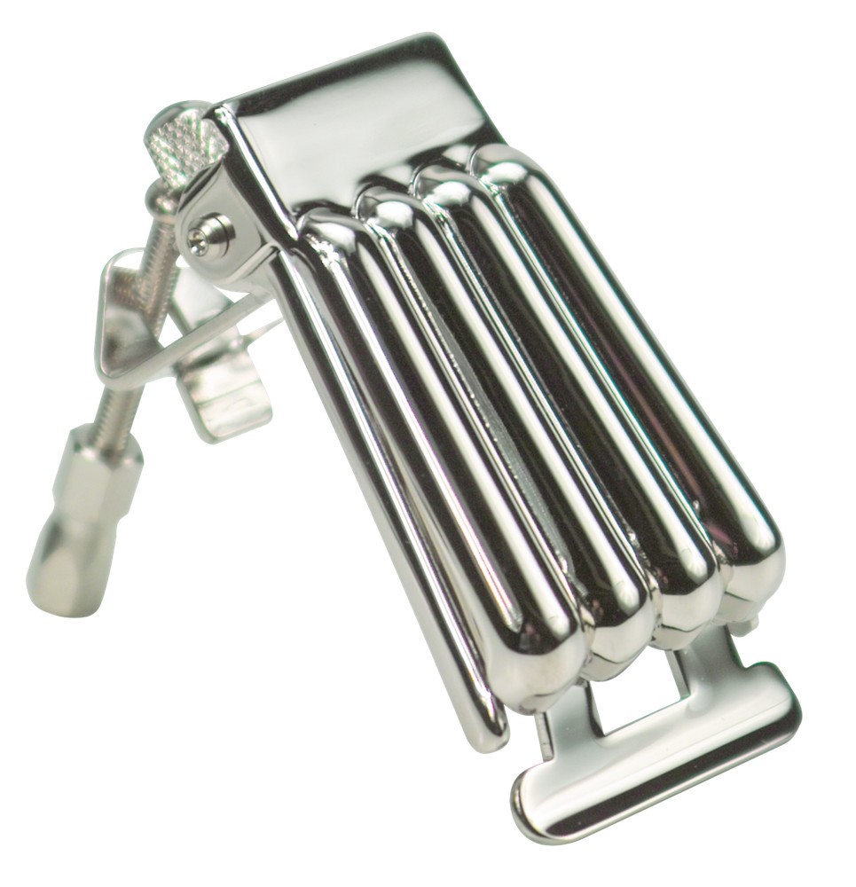 Golden Gate 5 String Banjo Clamshell Tail Piece, Chrome, P-111