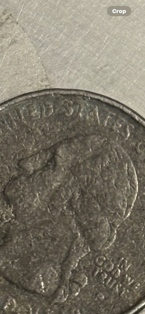 2001 State Quarter Variety Errors