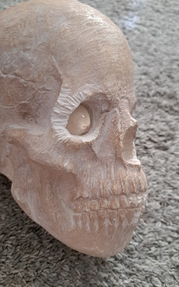 Skull