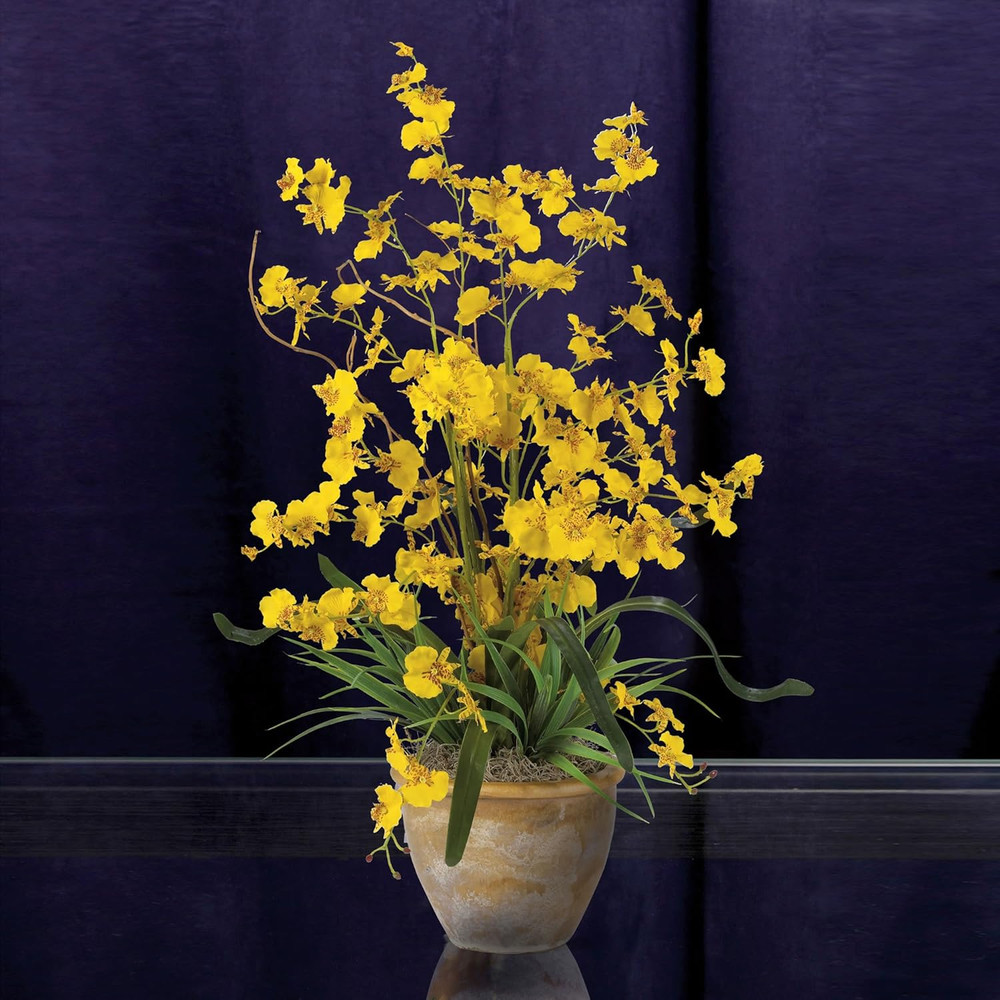 Dancing Lady Silk Orchid Arrangement