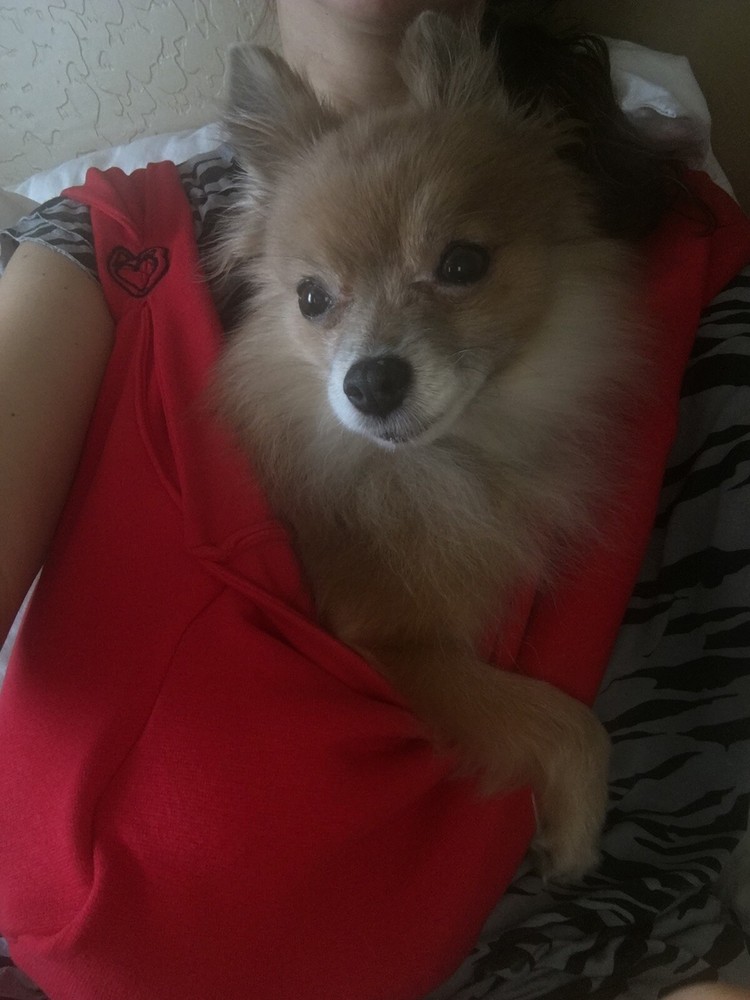 Heartpup Dog Sling