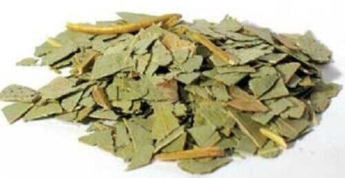 Eucalyptus cut 2oz (Eucalyptus Globulus)✨