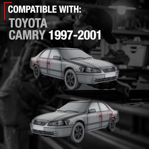 Interior Front or Rear Driver Front or Rear, Driver and Passenger Handle - Set