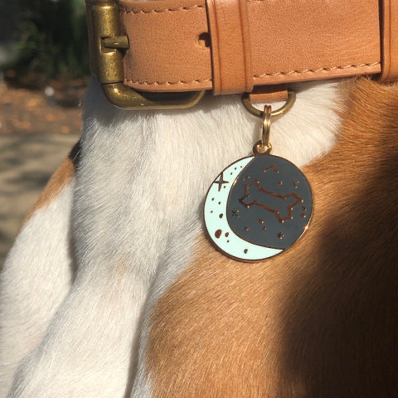 Two Tails Pet Company “Zodiac” Personalized Dog ID Tag,