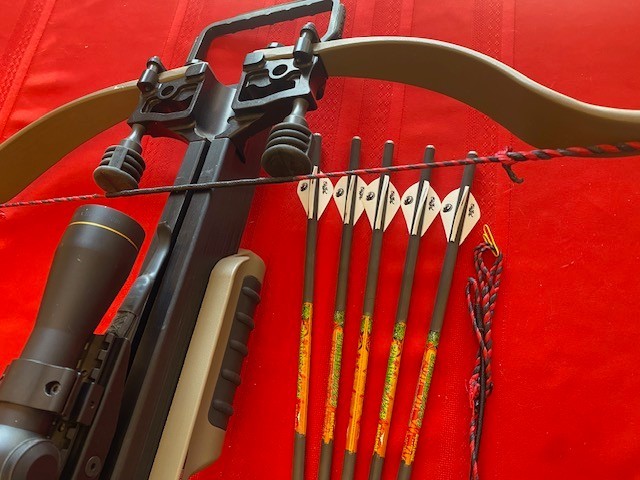 Excalibur Micro Extreme Crossbow Custom