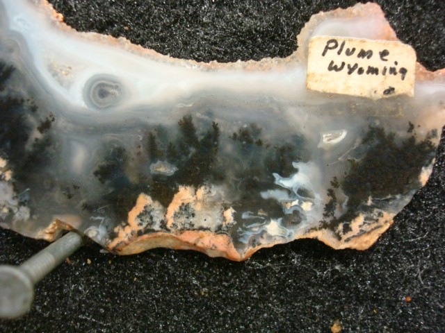 plume agate slab wyoming