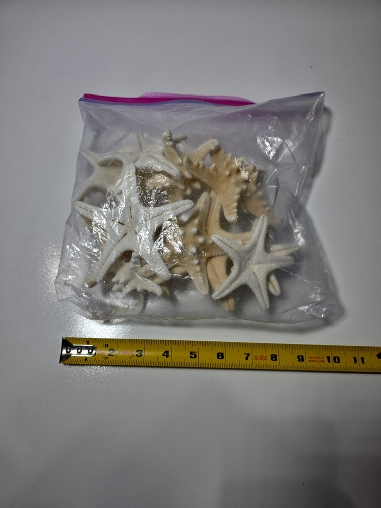 Large ziplock bag of starfish.