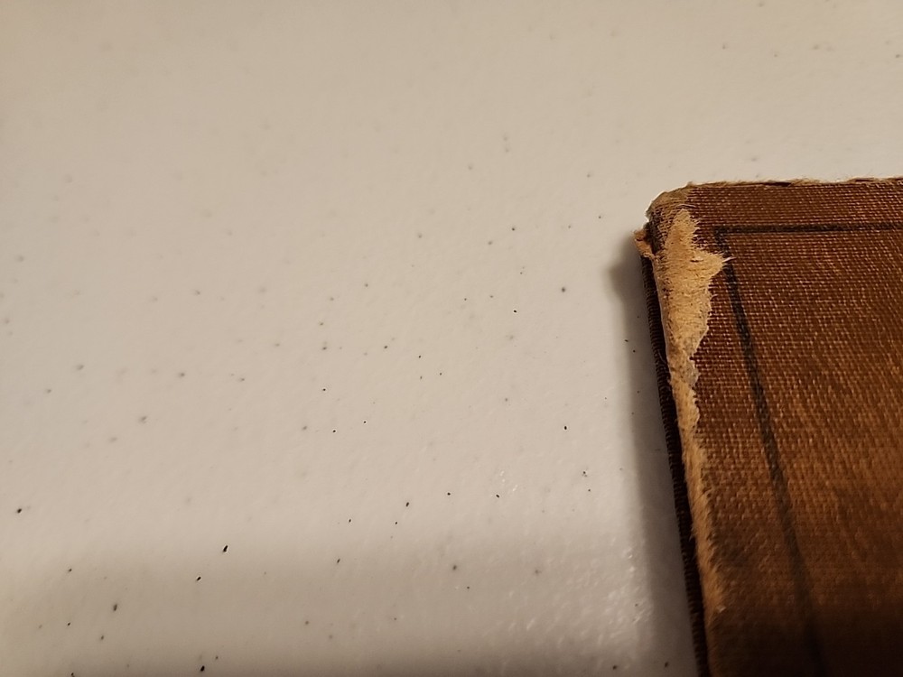Antique Catechism Book Catholic Religion
