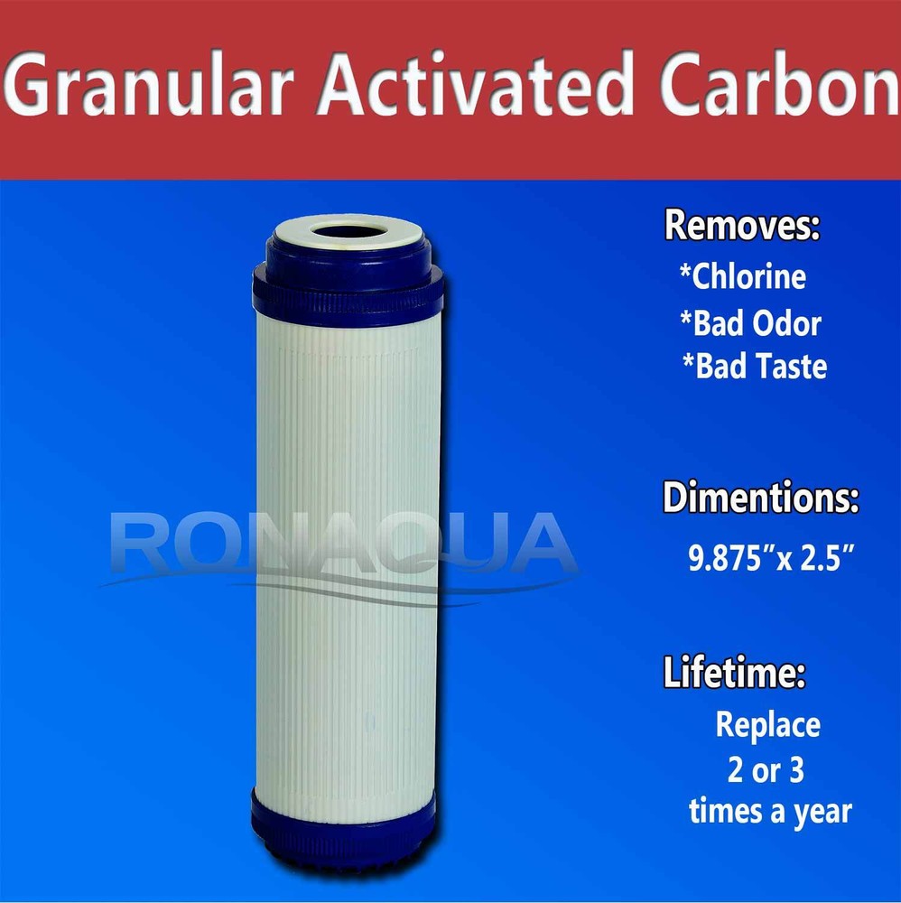 10" Clear Standard Whole House Water Filter System with GAC Filter