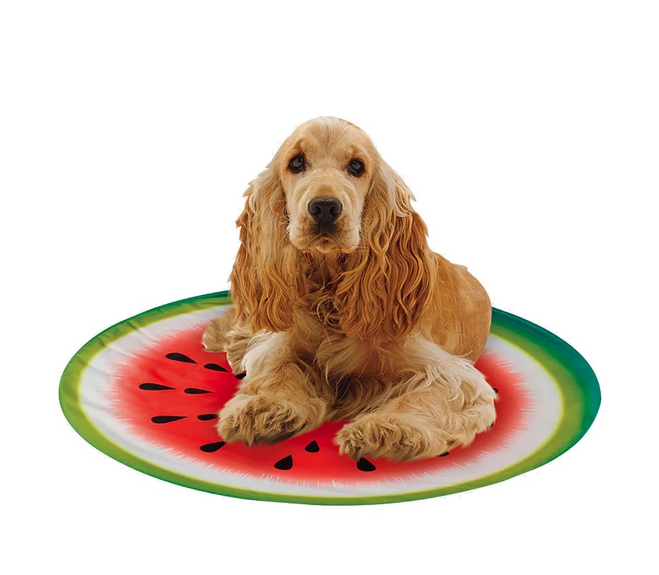 Pet Cooling Pad, Watermelon NP21X