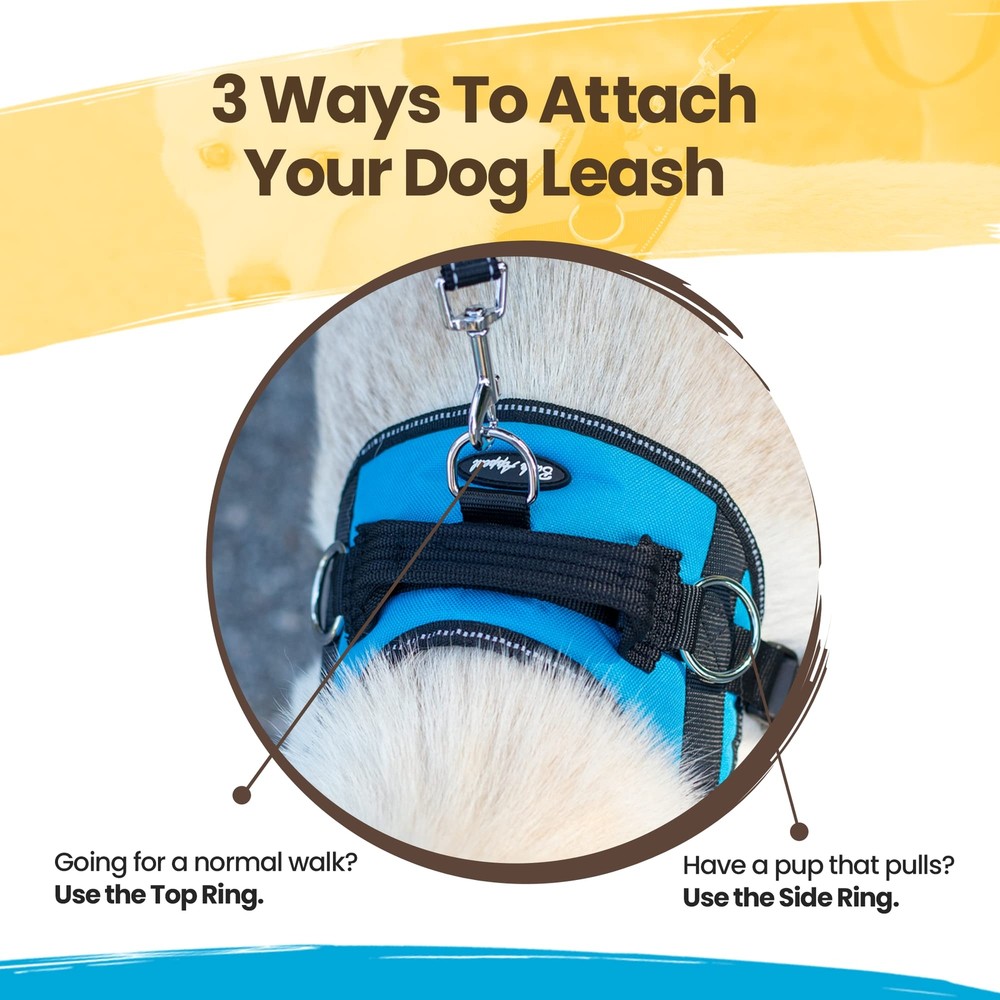 Dog Harness No-Pull Pet Harness Adjustable & Reflective Soft-Padded No-Choke ...