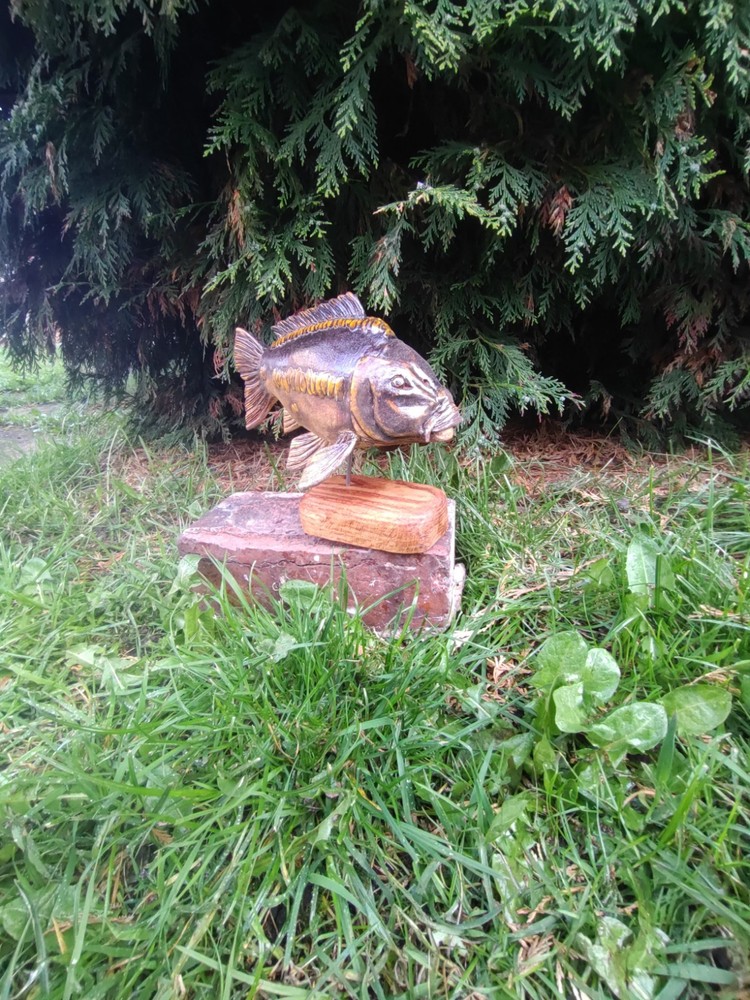 Carp Fishing, linear Carp Display, statue
