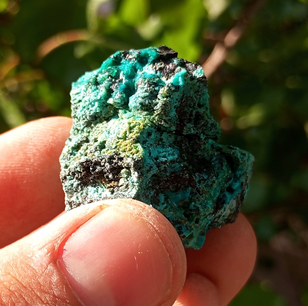 Marvelous Color  Small Aurichalcite