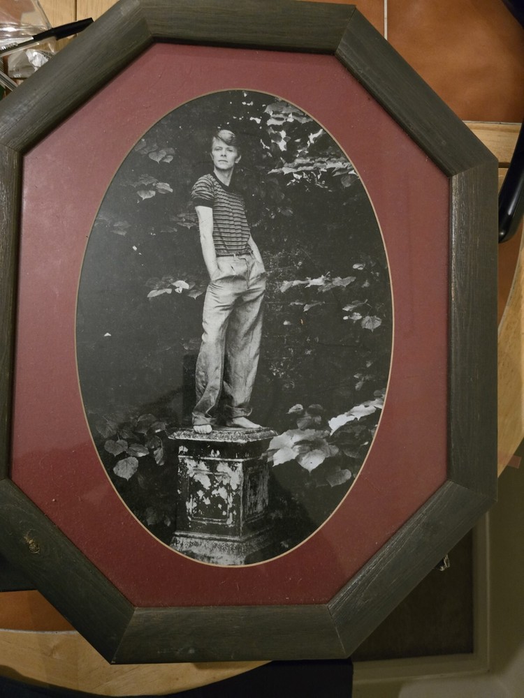 david bowie Image