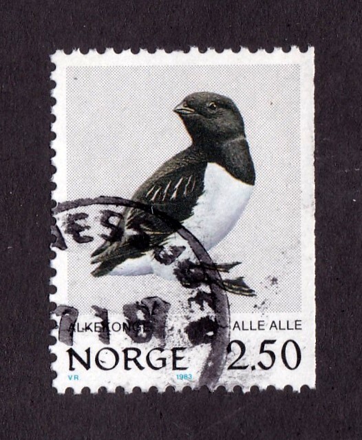 Norway       822          used