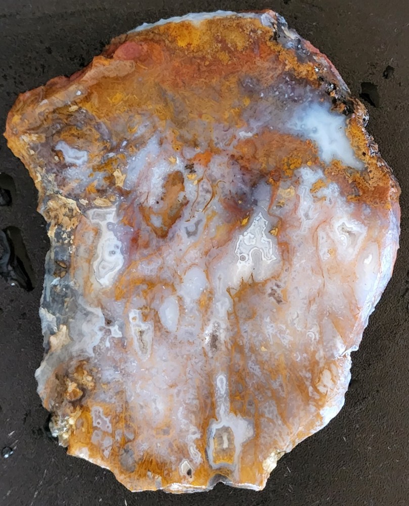 Moss agate Maury Mountain