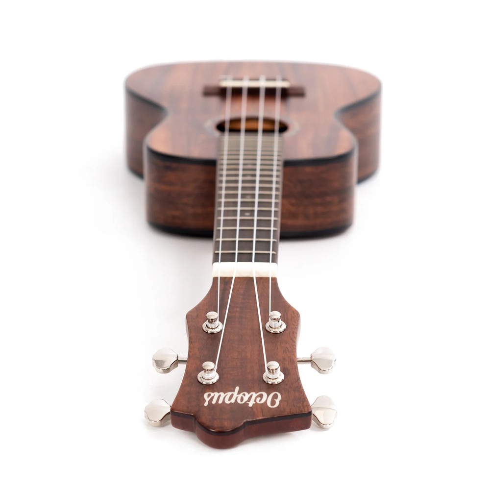 Octopus All solid acacia concert ukulele
