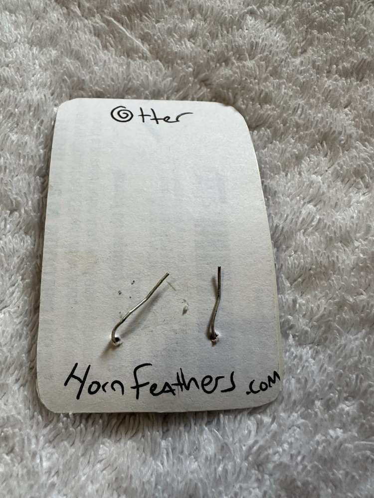 Horn Feather Earrings