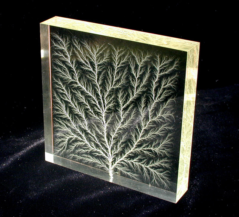 4" x 4" x 1" Captured Lightning Lichtenberg Figure Tree & Walnut Lighted Base