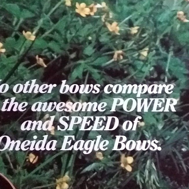 Oneida Eagle Poster - NOS