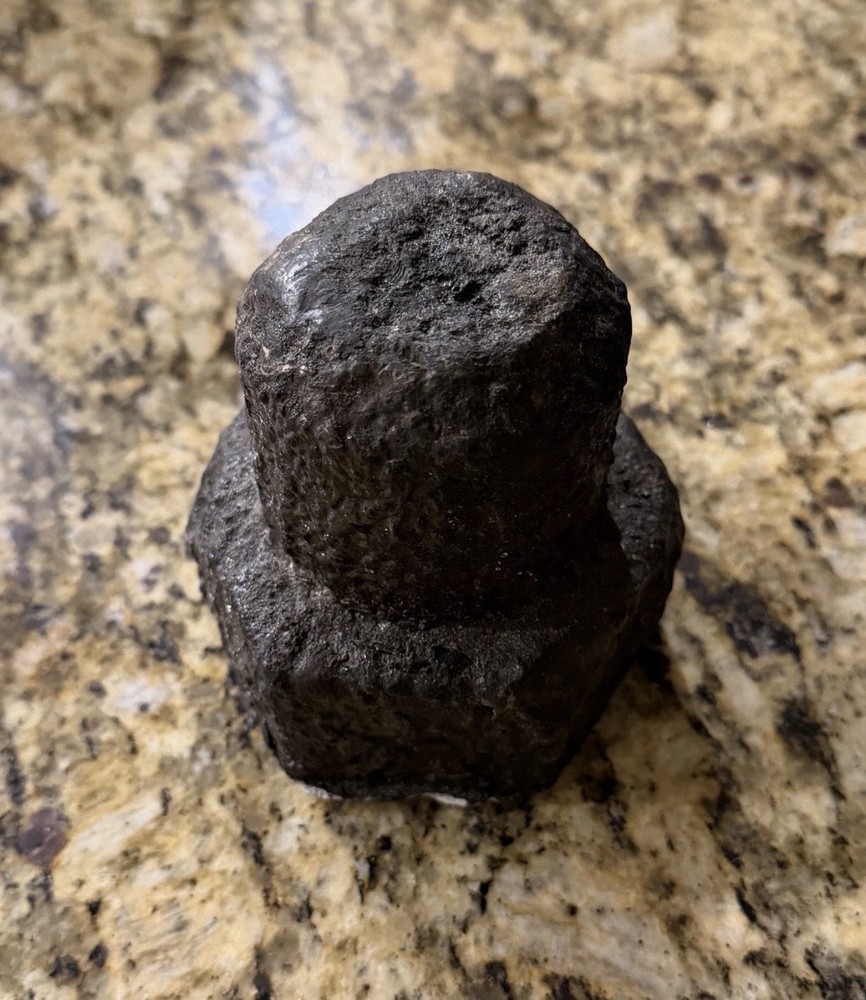 Avengers Infinity War Screen Used Prop - Marvel - Celebrity Authentics