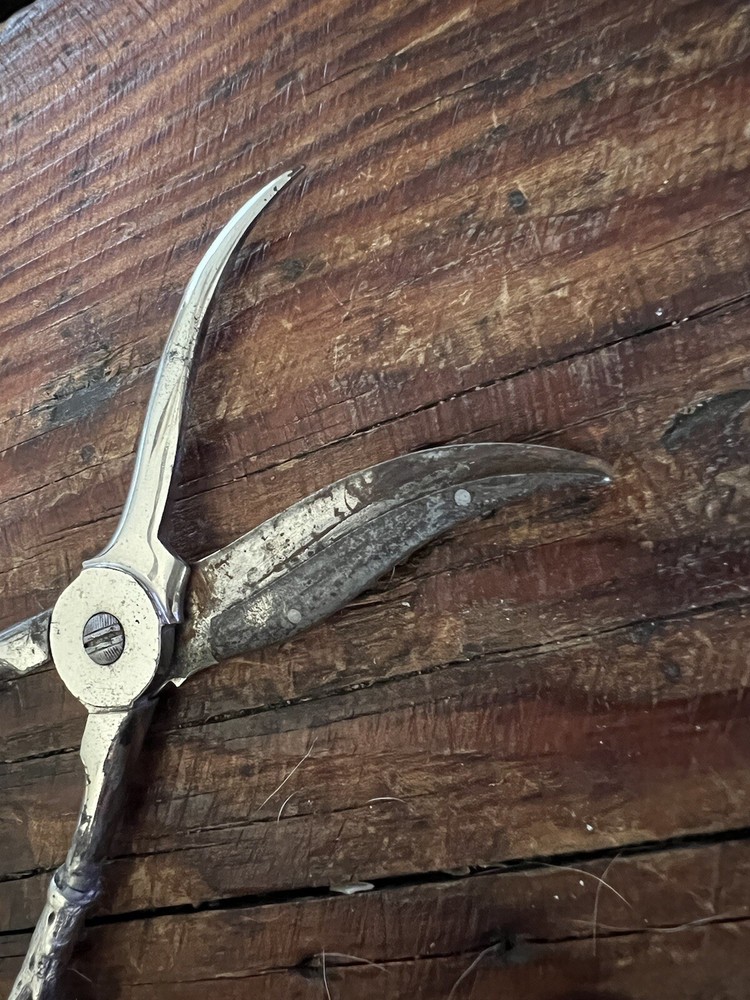 Vintage Ornate Sterling Silver Grape Shears Scissors