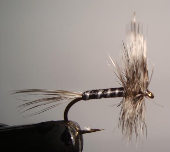 C/A FLIES  MOSQUITO #16 (12)