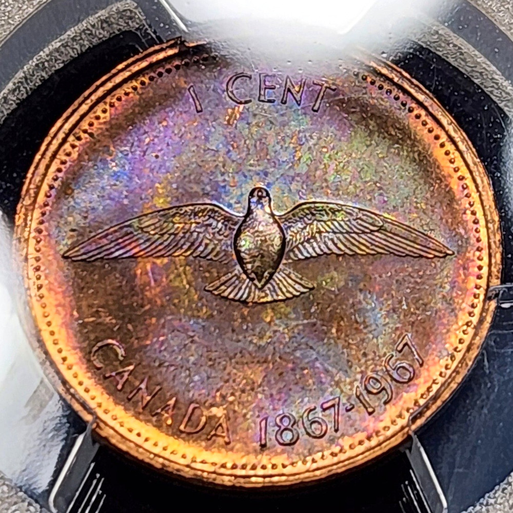 Toned 1967 Canada Cent | PCGS MS64BN