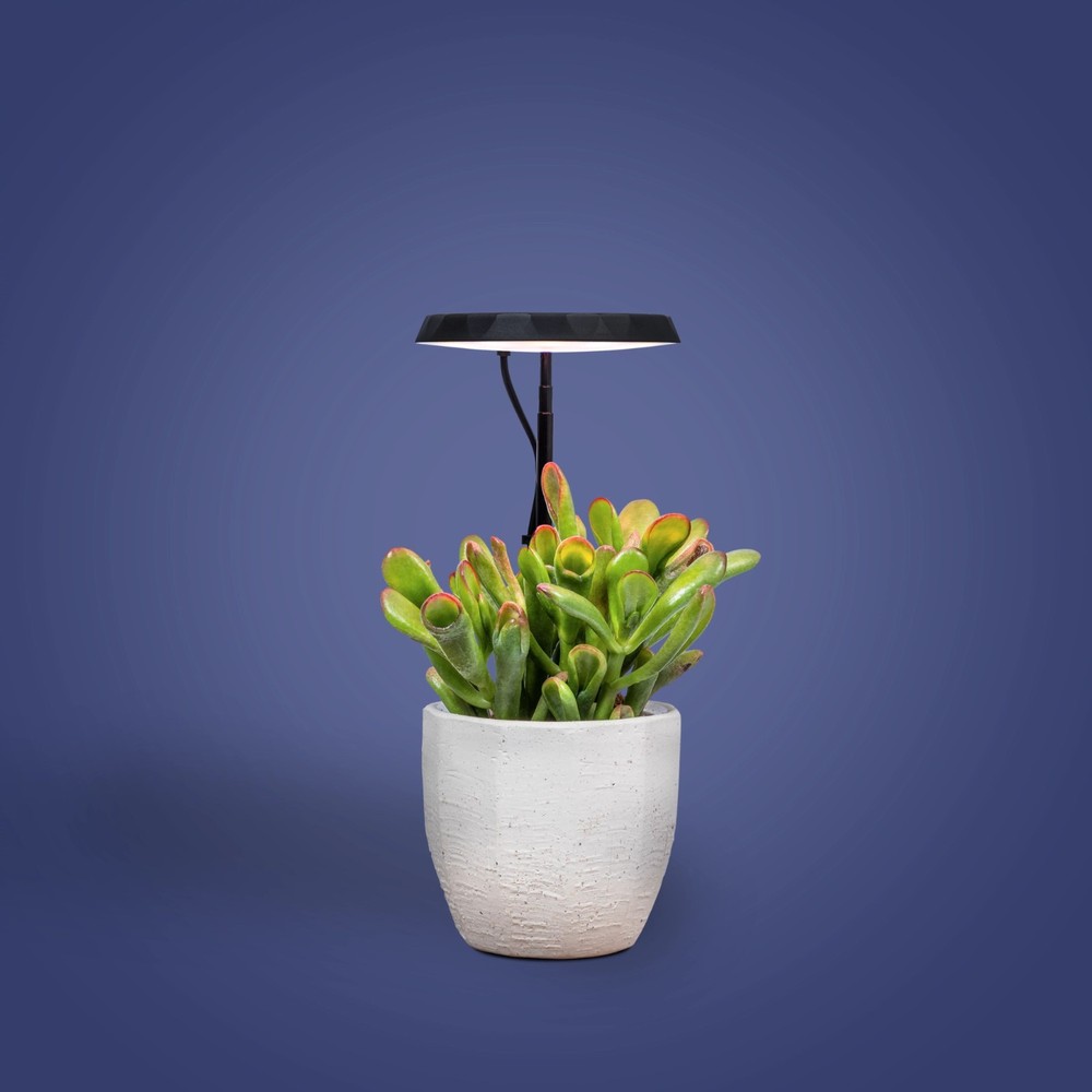 AeroGarden Stem Grow Light - Black
