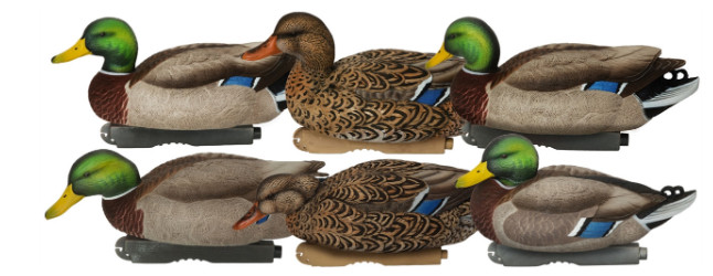 Banded, PG XD Series Mallards-Harvester Pack (6-pack)