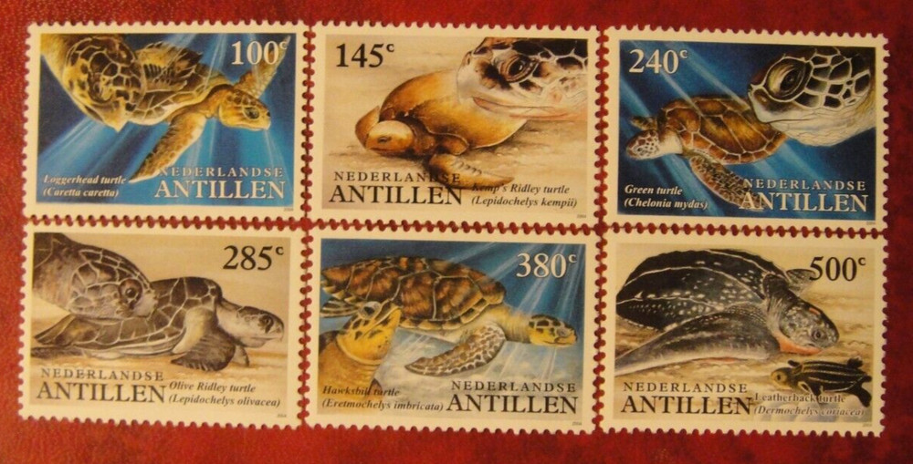 Netherlandse Antilles 2004. Turtles. Mint Unhinged.