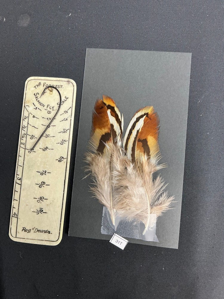 Hybrid Silver/Reeves Cross Pheasant feathers B
