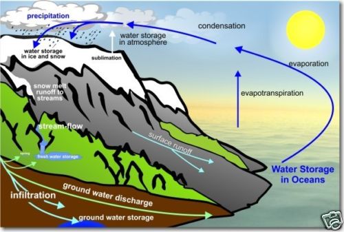The Water Cycle - Science POSTER