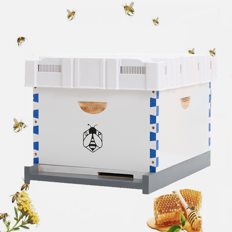 Beehive Langstroth House Beekeeping Kit 10 Deep Layer &10 Medium Frames + Cover