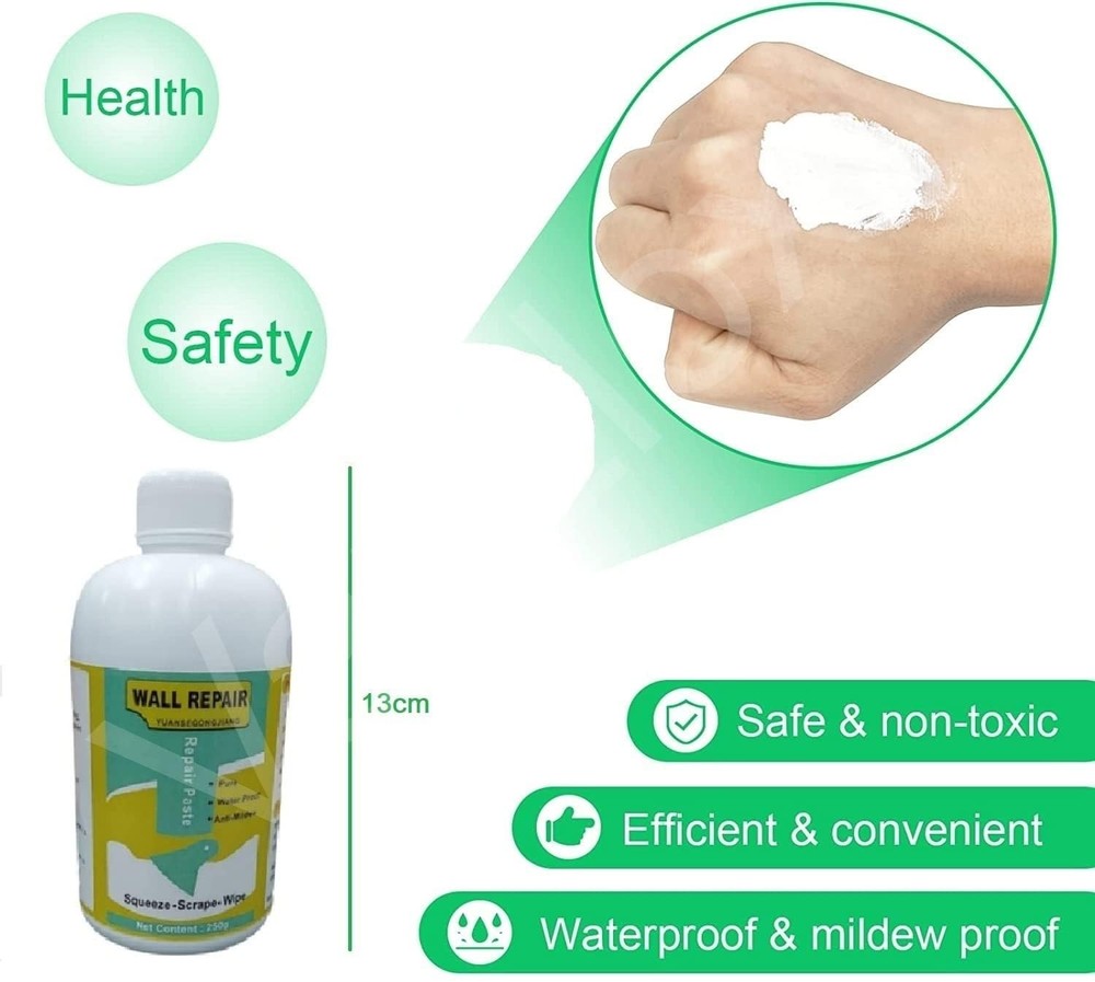 Wall Crack Repair Paste 250 Gram