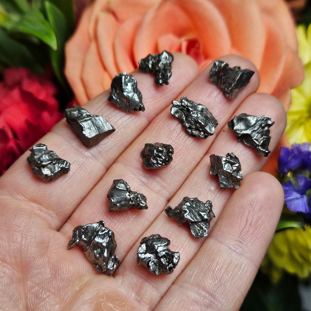 Meteorite Specimen