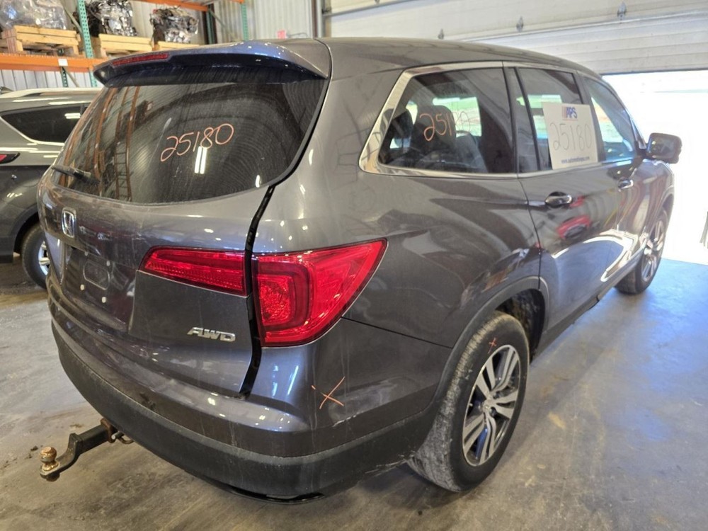 PILOT 2017 Jack 1552265