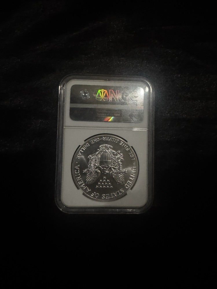 Silver rounds (everything in the picture)