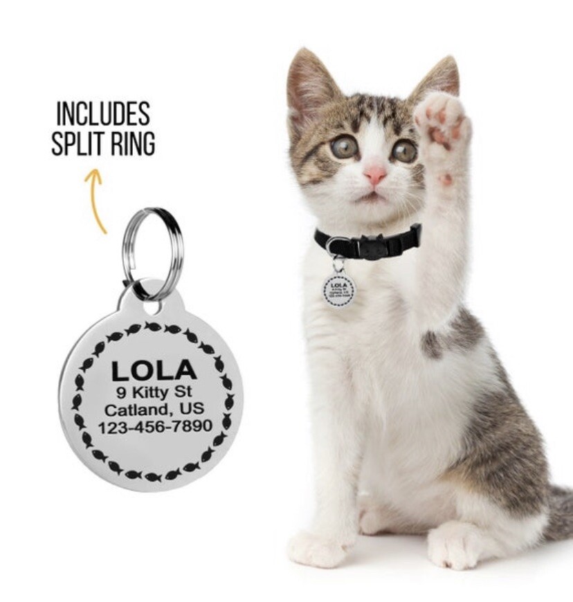 Stainless Steel Pet ID Tags Dog Tags Personalized Front and Back Engraving