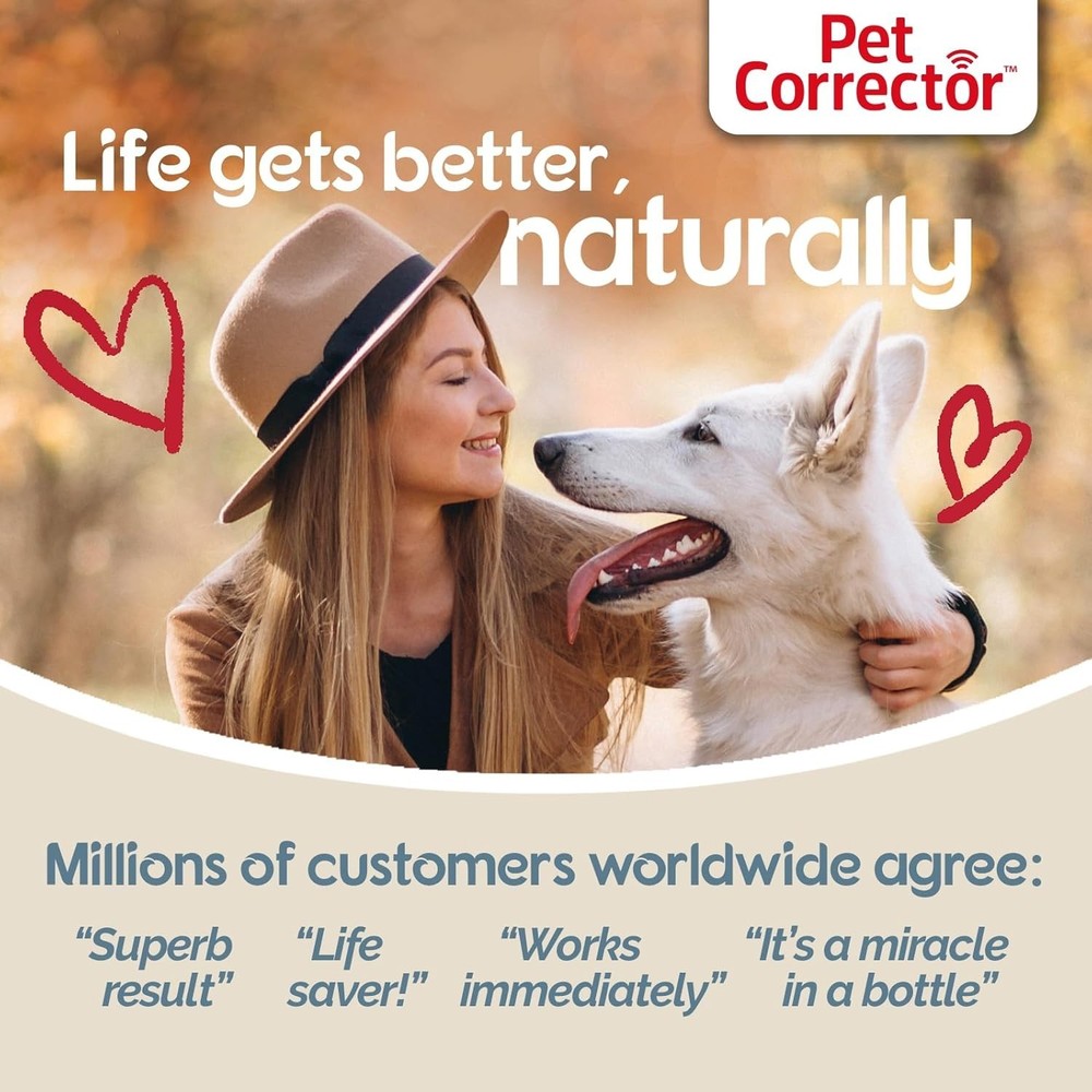 Safe & Effective Dog Training