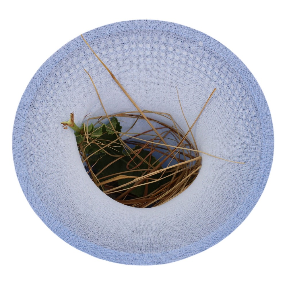 Pool Filter Socks for Skimmer Baskets 10 Pack Filter Saver